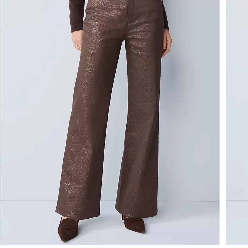 Ann Taylor Brown High Rise Women Jeans pants 4 nwt shimmer shiny glitter party